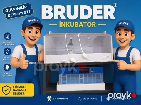 İnkubator Bruder, taxta/plastik — Bakı