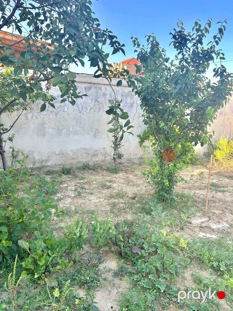 Satılır 4 otaqlı həyət evi/bağ evi 185 m² — Ev, villa, Bakı (7)