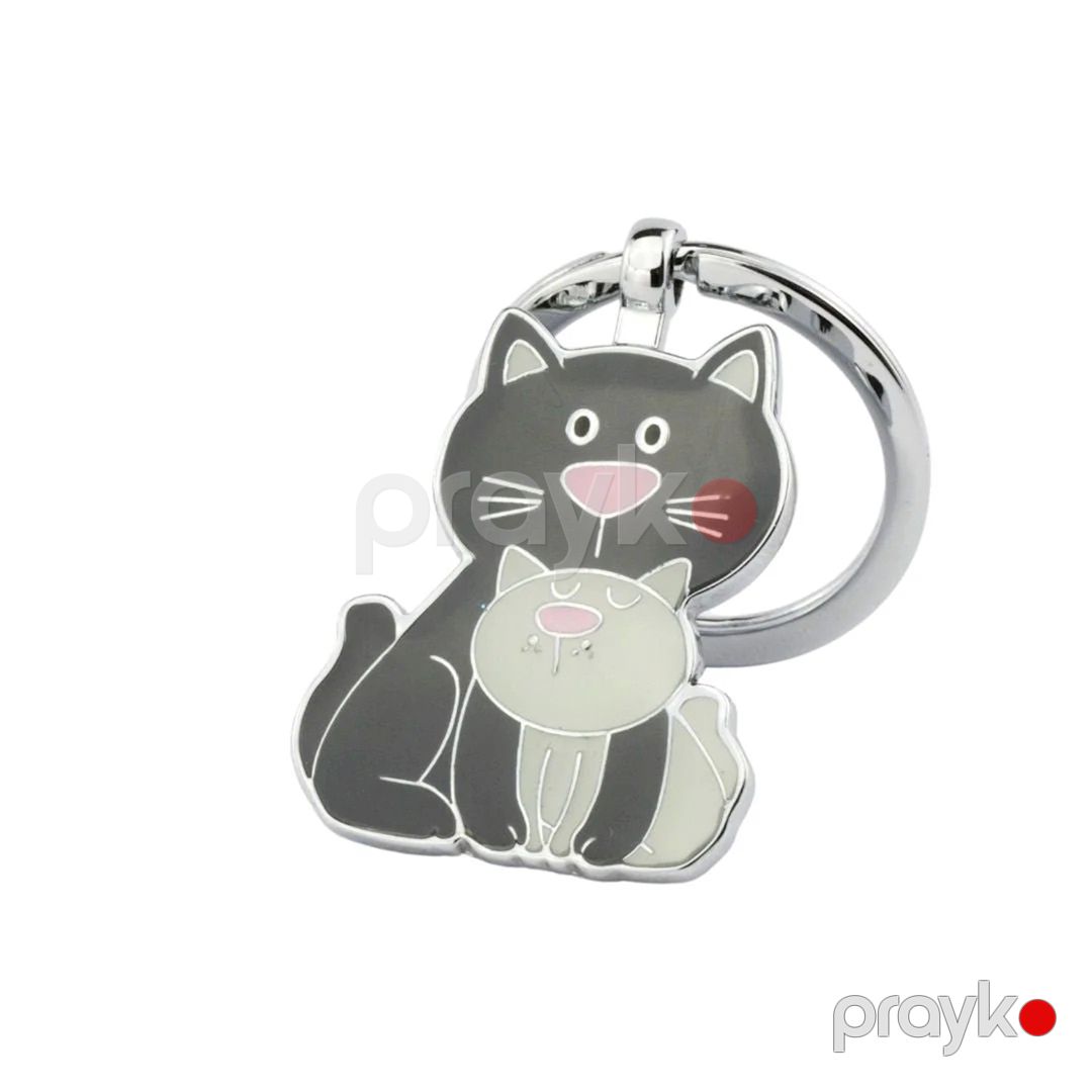 Açar üçün brelok Troika KR18-04-GY Cat with Kitten, metal, 78х35х4 mm — Mallar, Bakı (2)