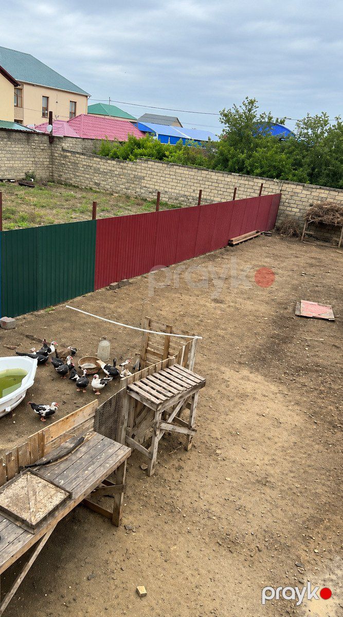 Satılır torpaq 8 sot — Torpaq, Bakı (2)
