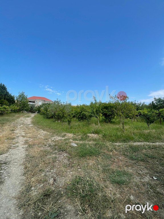 12 sot torpaq sahəsi, Novxanı qəs — Torpaq, Bakı (12)