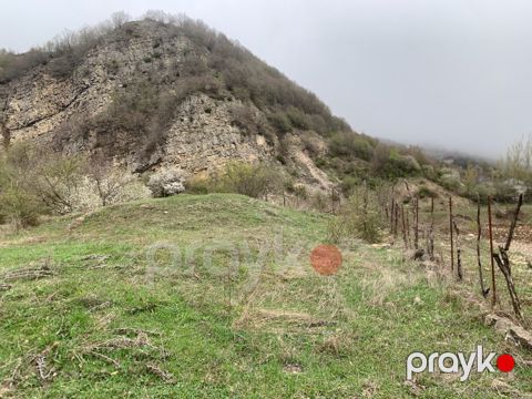 12 sot torpaq sahəsi, Şamaxı r — Şamaxı