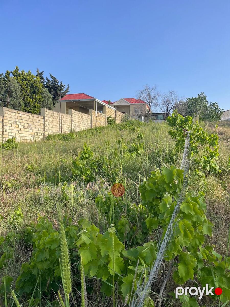 Satılır torpaq 12 sot — Torpaq, Bakı (11)