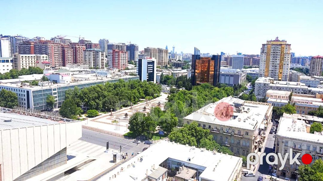 Satılır 5 otaqlı ofis 217 m² — Ofis, Bakı (3)
