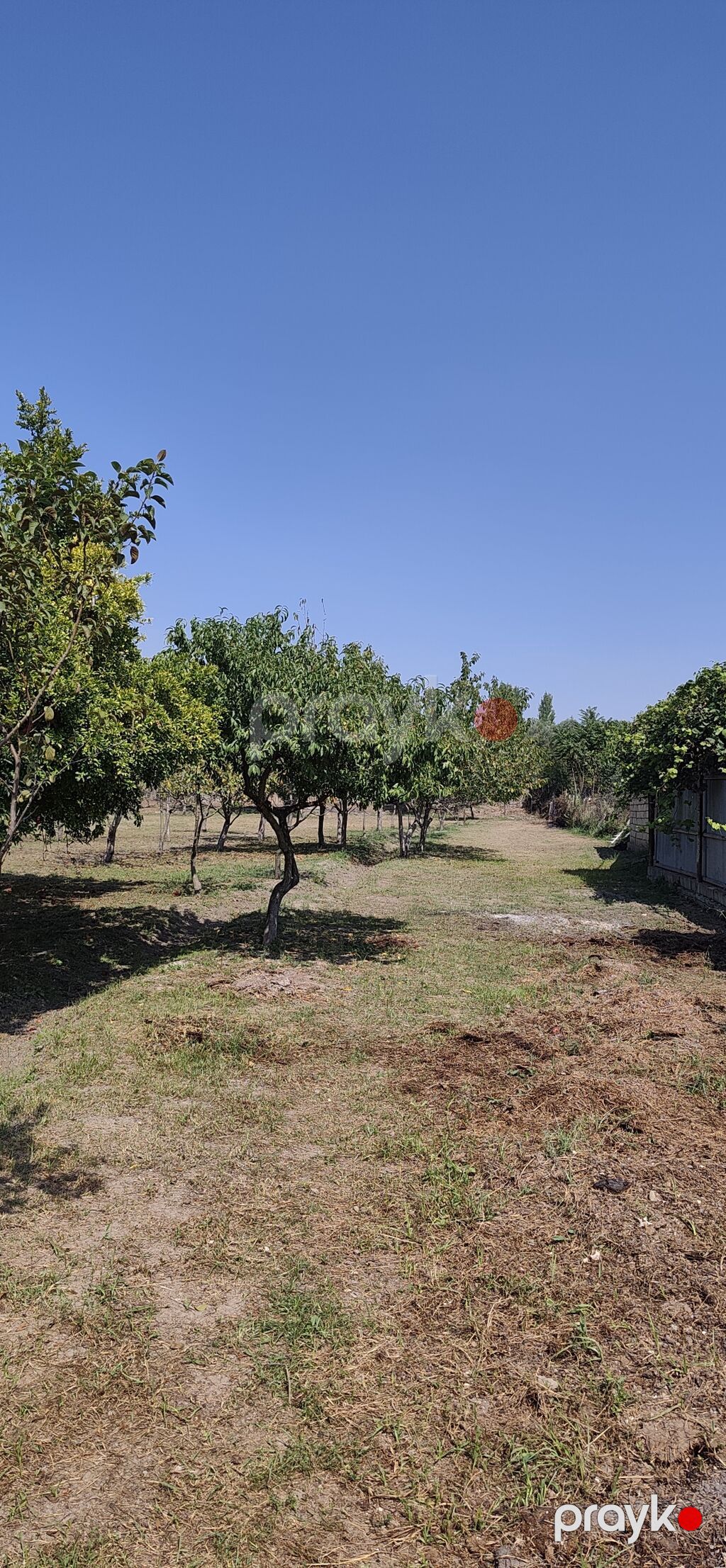 4 otaqlı, 200 kv. m, Kredit yoxdur, Orta təmir — Ev, villa, Şirvan (5)