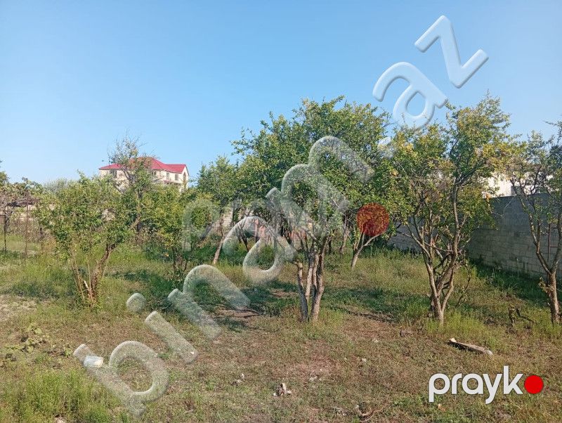 21 sot Torpaq, Satış, Bakı, Sabunçu — Torpaq, Bakı (5)