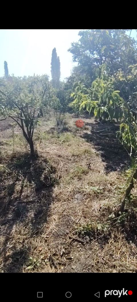 28 sot torpaq sahəsi, Xaçmaz r — Xaçmaz