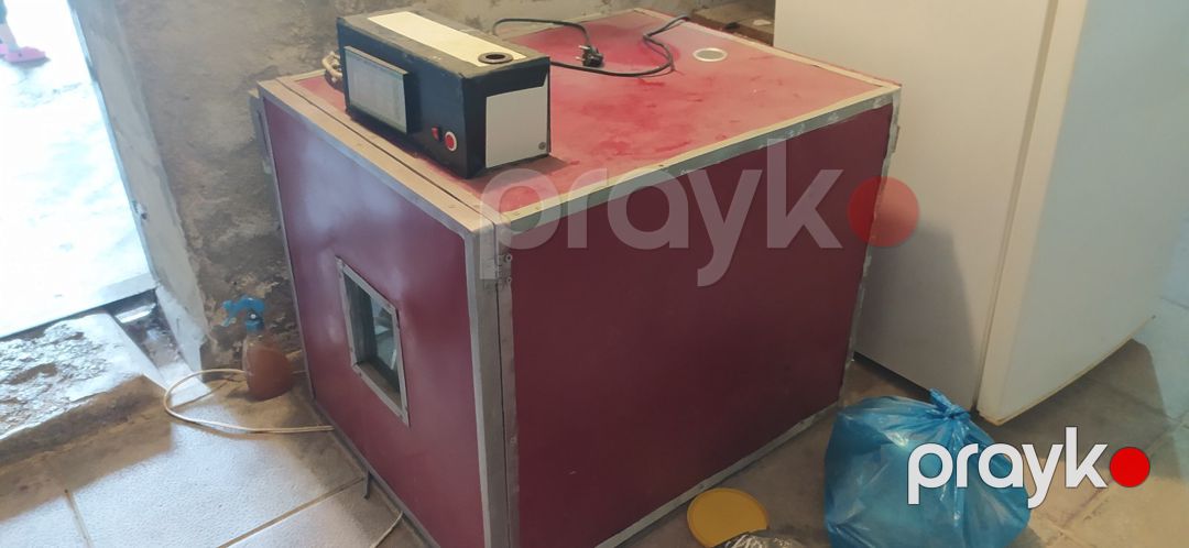İnkubator — Biznes və avadanlıq, Bakı (4)