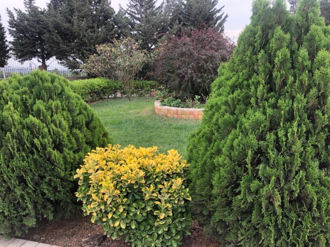 Villa, Şıxov qəs — Ev, villa, Bakı (9)