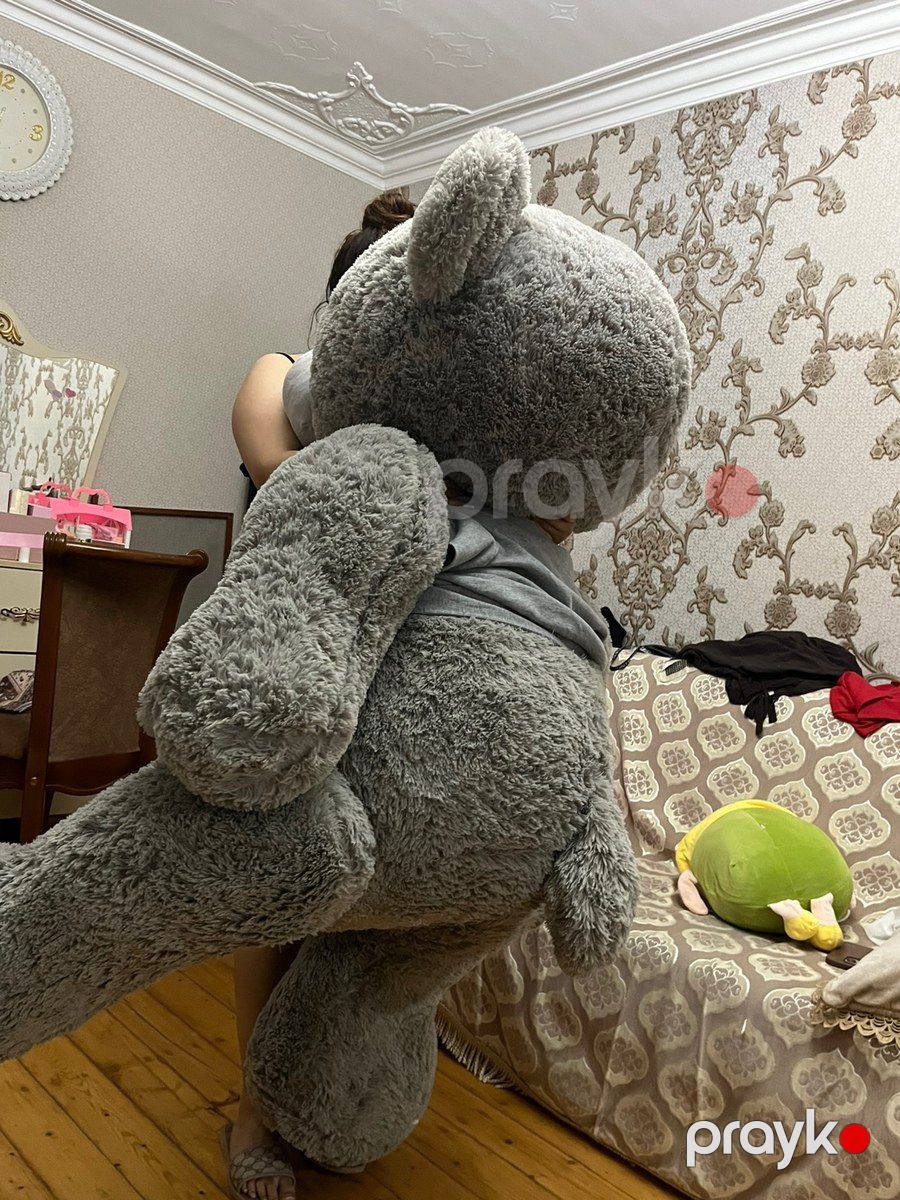Yumşaq Teddy oyuncaq — Oyuncaqlar, Gəncə (2)