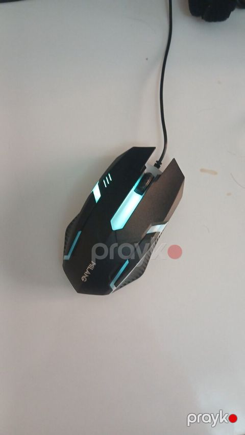 Oyun siçanı Milang RGB — Naxçıvan