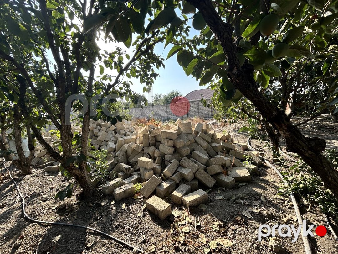 Satılır torpaq 5 sot — Torpaq, Ağdaş (3)
