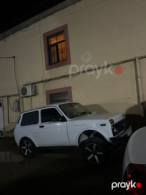 Lada (VAZ) Niva, 1.7 L, 2013 il, 224 582 km — Avtomobillər, Bakı (9)