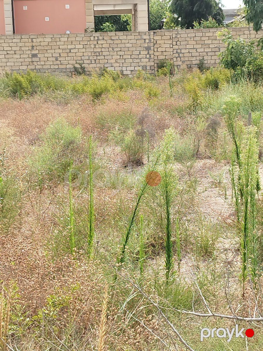 Satılır torpaq 12 sot — Torpaq, Bakı (10)