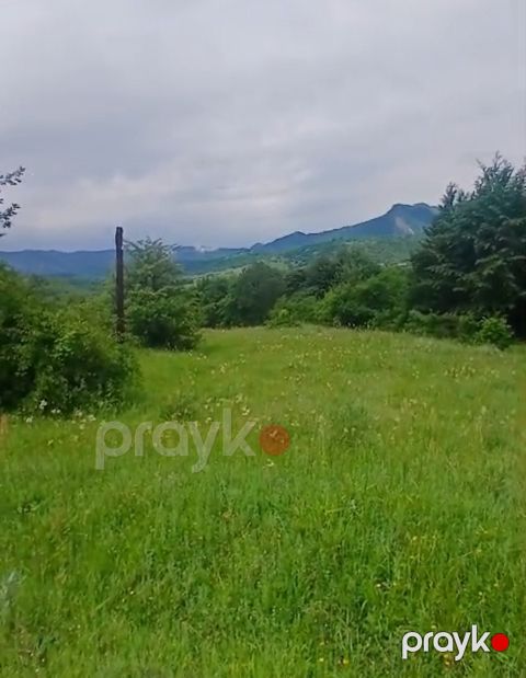 Satılır torpaq 22 sot — Şamaxı