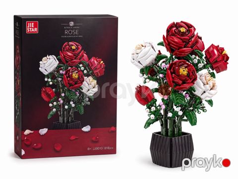 Blok konstruktor Jie Star Flowers, 818 element — Bakı