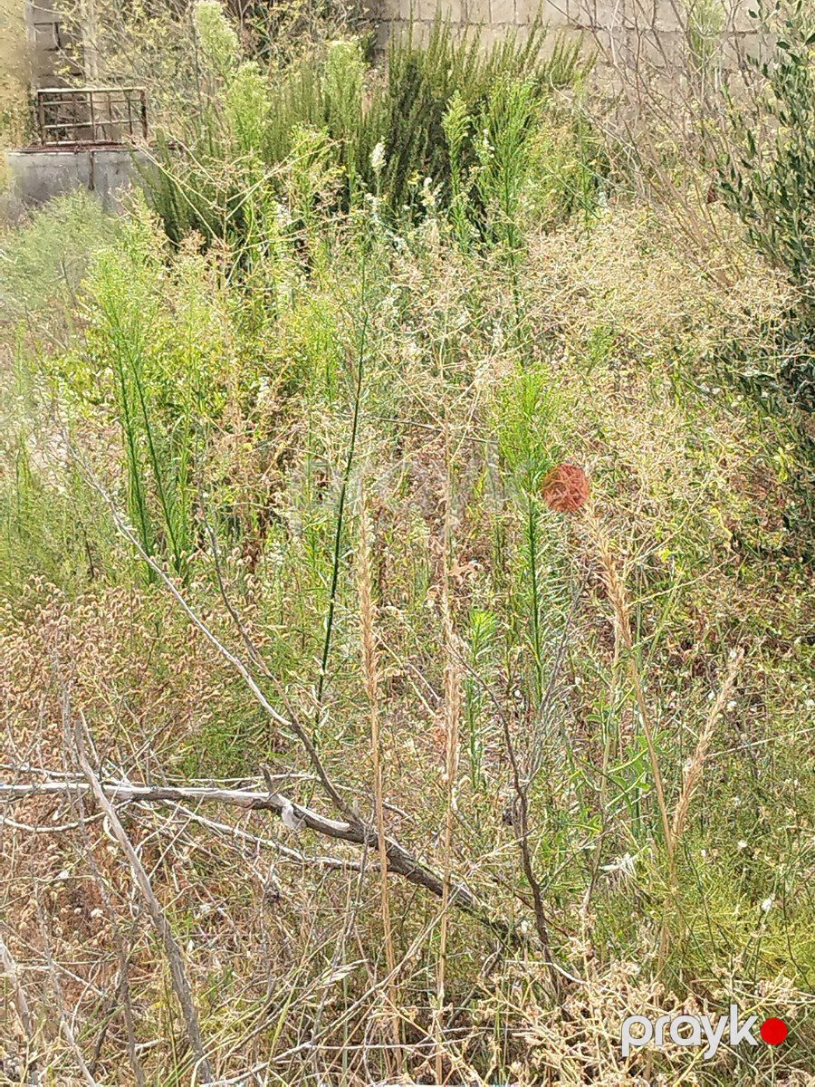 Satılır torpaq 12 sot — Torpaq, Bakı (11)