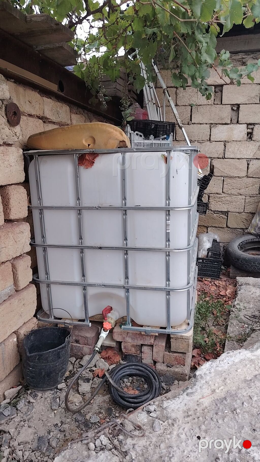 IBC su çəni (konteyner) – 1000 litr - Material: qalın divarlı plastik — Su çənləri, kanisterləri, bochkalar, Şirvan (2)
