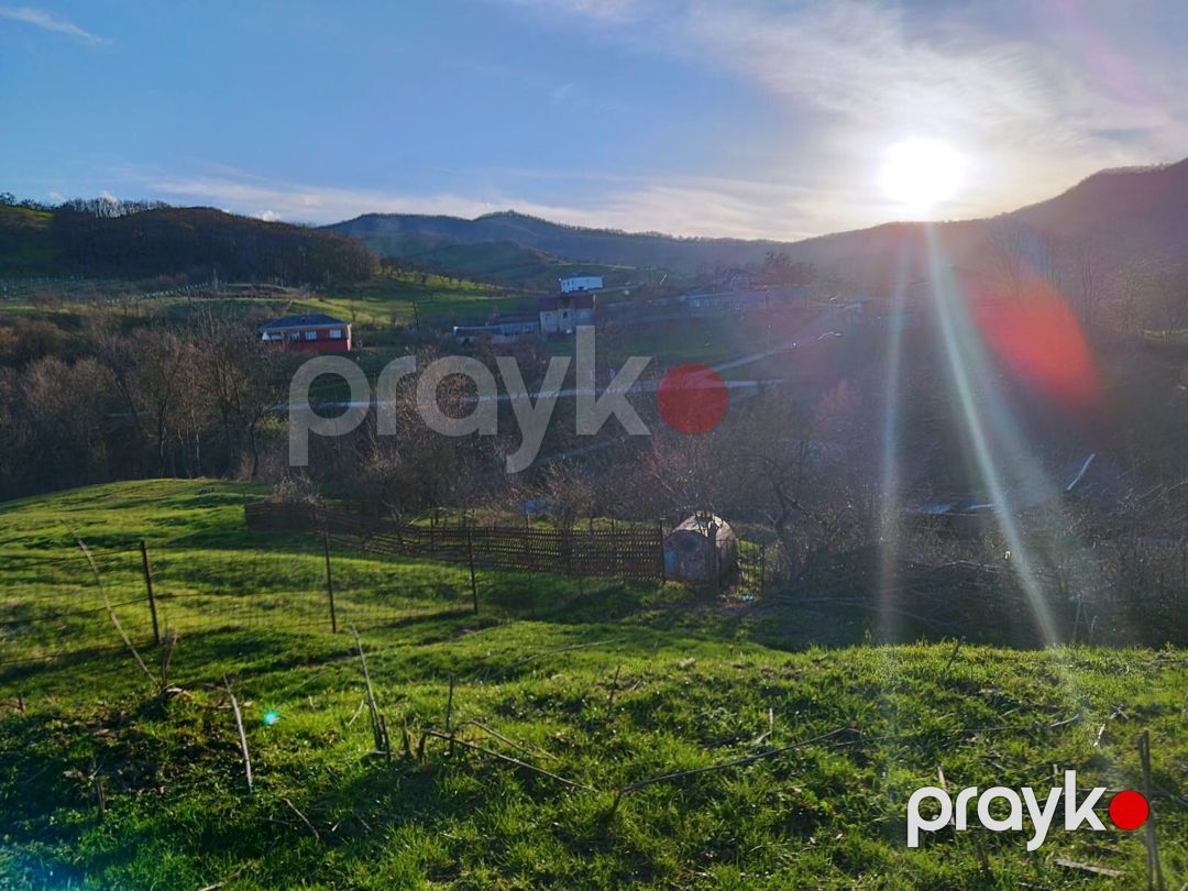24 sot torpaq sahəsi, Quba r — Torpaq, Quba (10)
