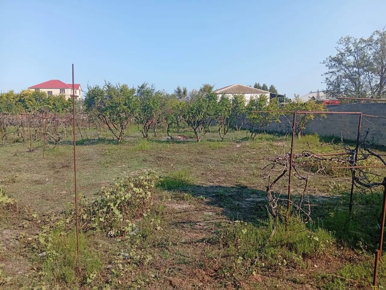 21 sot torpaq sahəsi satılır — Torpaq, Bakı (3)
