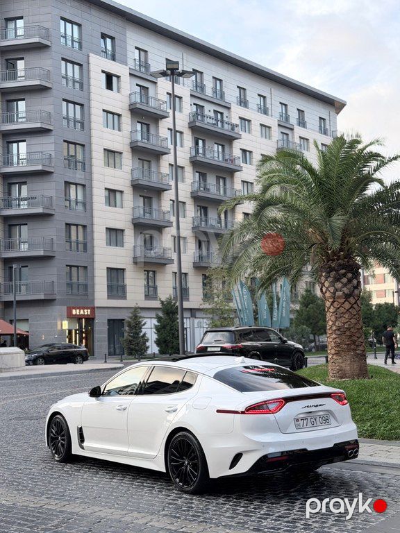 Kia Stinger, 2.2 L, 2019 il, 131 500 km — Avtomobillər, Bakı (6)