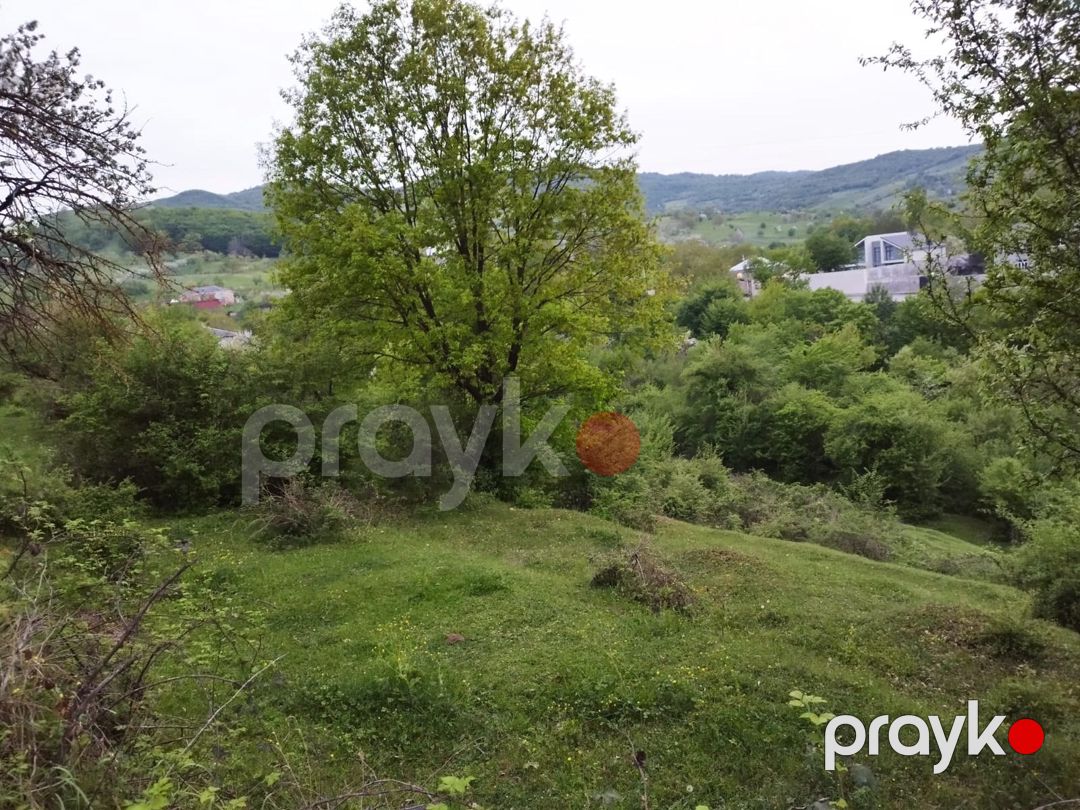 24 sot torpaq sahəsi, Quba r — Torpaq, Quba (7)