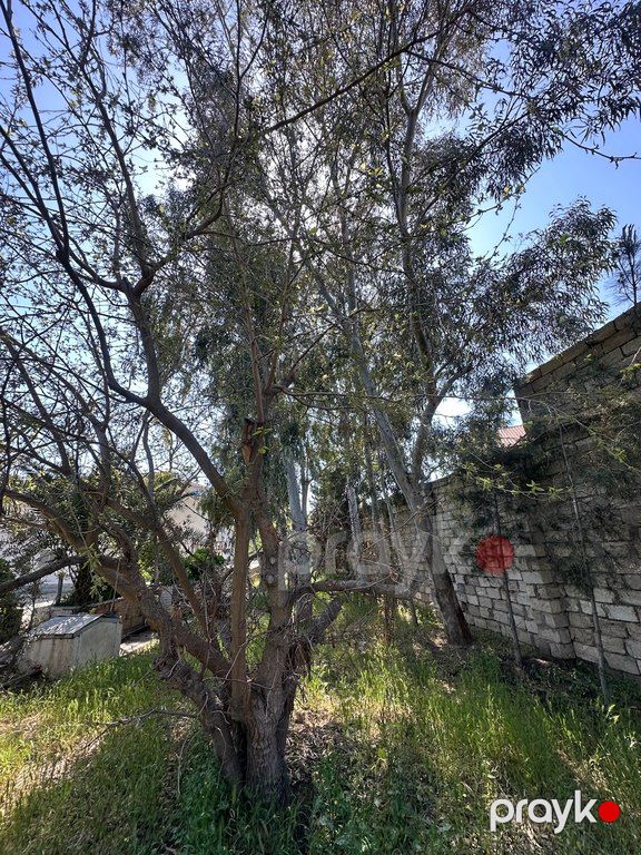 11 sot torpaq sahəsi, Şüvəlan qəs — Torpaq, Bakı (10)