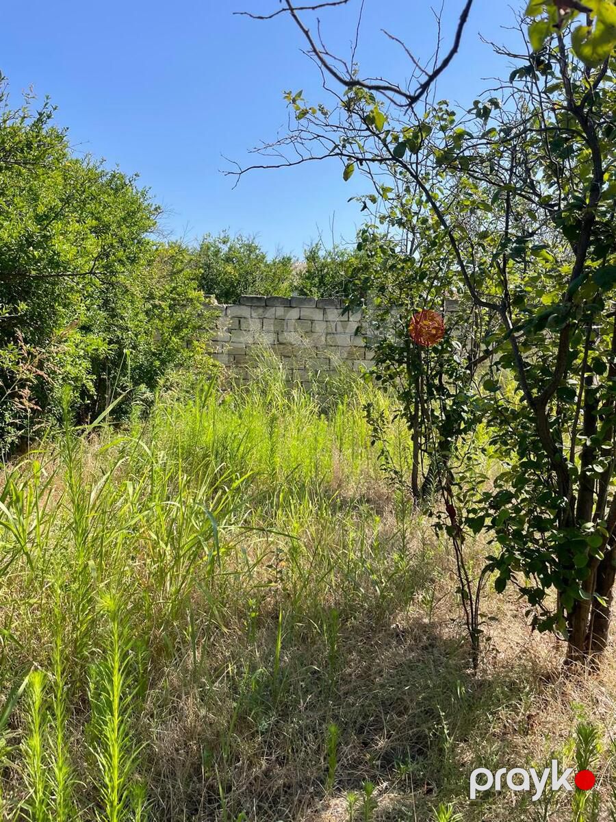 Satılır torpaq 12 sot — Torpaq, Bakı (4)