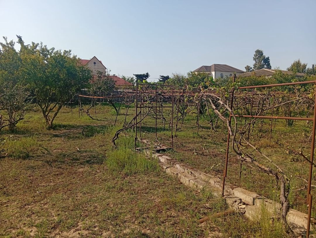 Satış: Torpaq, 21 sot, Sabunçu rayonu — Torpaq, Bakı (3)