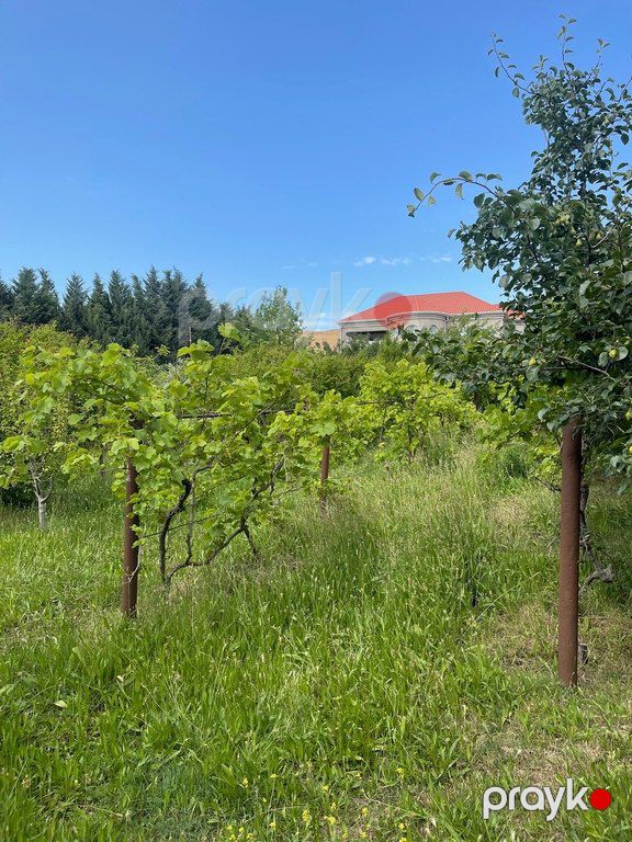 12 sot torpaq sahəsi, Novxanı qəs — Torpaq, Bakı (3)