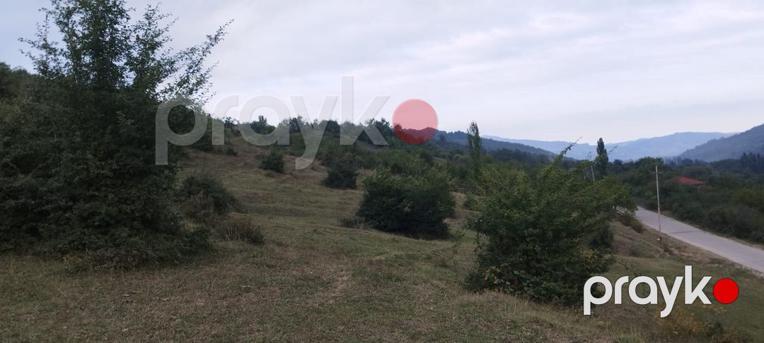 142 sot torpaq sahəsi, Quba r — Torpaq, Quba (12)