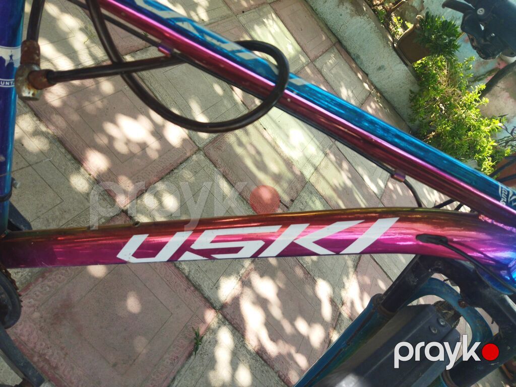 Uskı dağ velosipedi 29 velo / enidrim yoxdur yazmiyin bosuna 100 m — Dağ velosipedləri, Bakı (6)