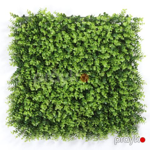 Süni yaşıllıq divar paneli 68s, plastik, 50x50 sm — Bakı