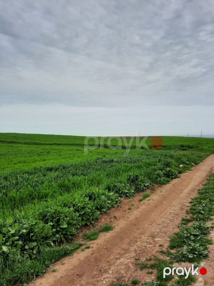 10000 sot torpaq sahəsi, Siyəzən r — Torpaq, Siyəzən (4)