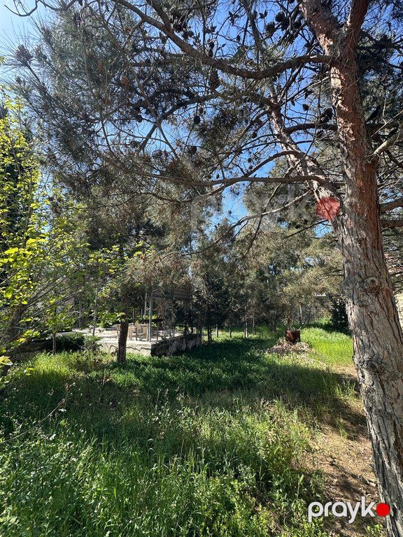 11 sot torpaq sahəsi, Şüvəlan qəs — Torpaq, Bakı (3)