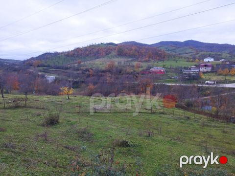 24 sot torpaq sahəsi, Quba r — Quba