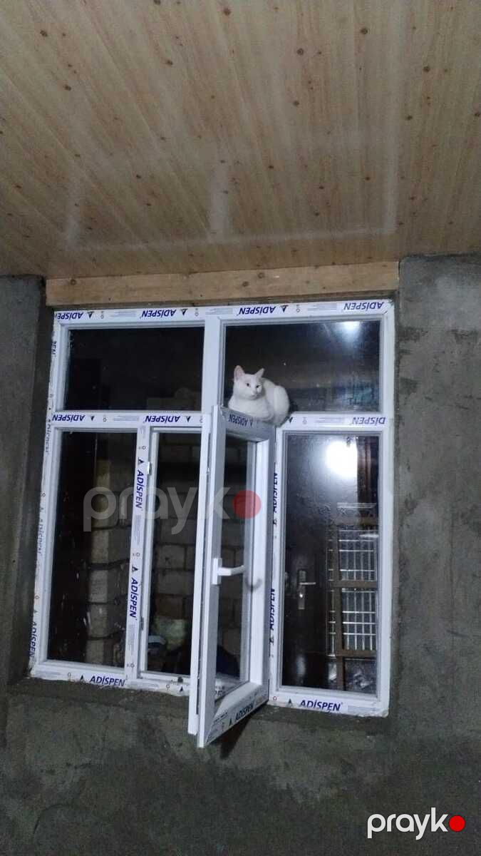 İcarəyə verilir 3 otaqlı həyət evi/bağ evi 22 m² — Ev, villa, Lənkəran (4)