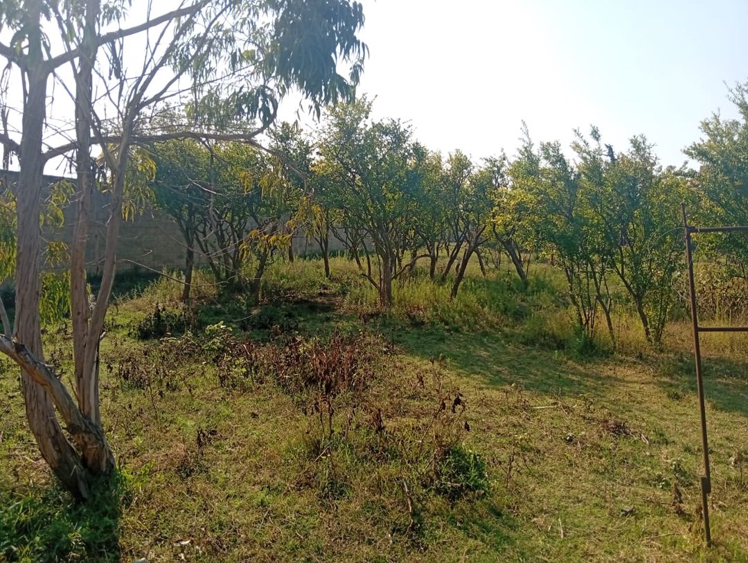 Satış: Torpaq, 21 sot, Sabunçu rayonu — Torpaq, Bakı (2)