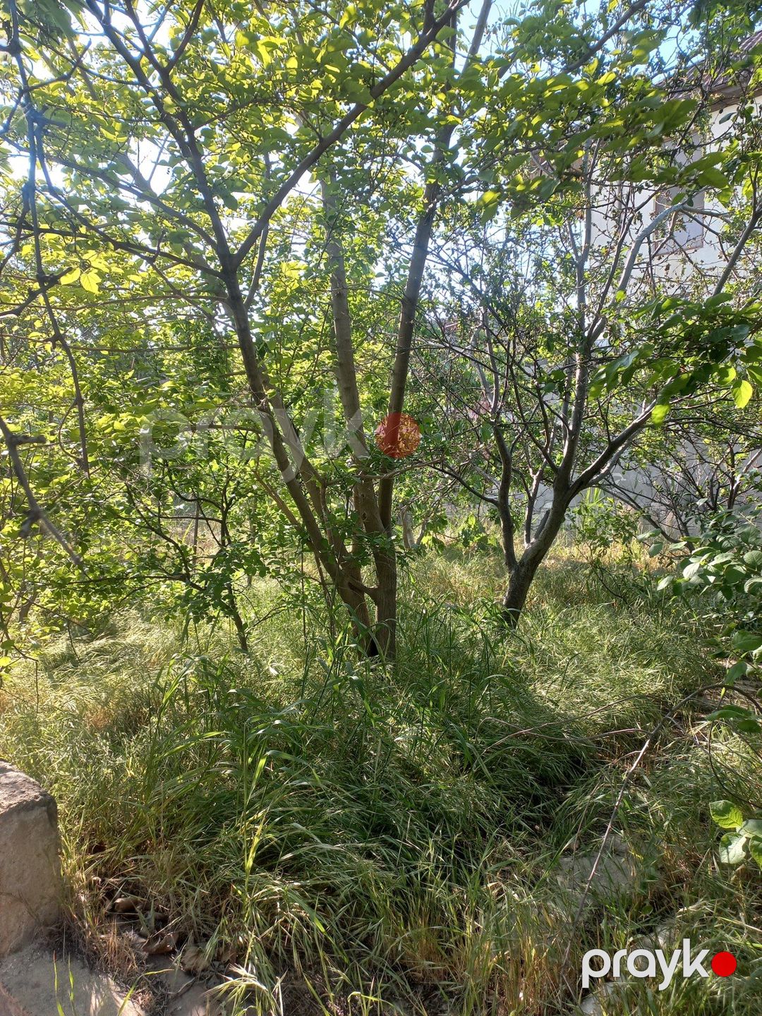 Satılır 7 otaqlı həyət evi/bağ evi 300 m² — Ev, villa, Bakı (10)