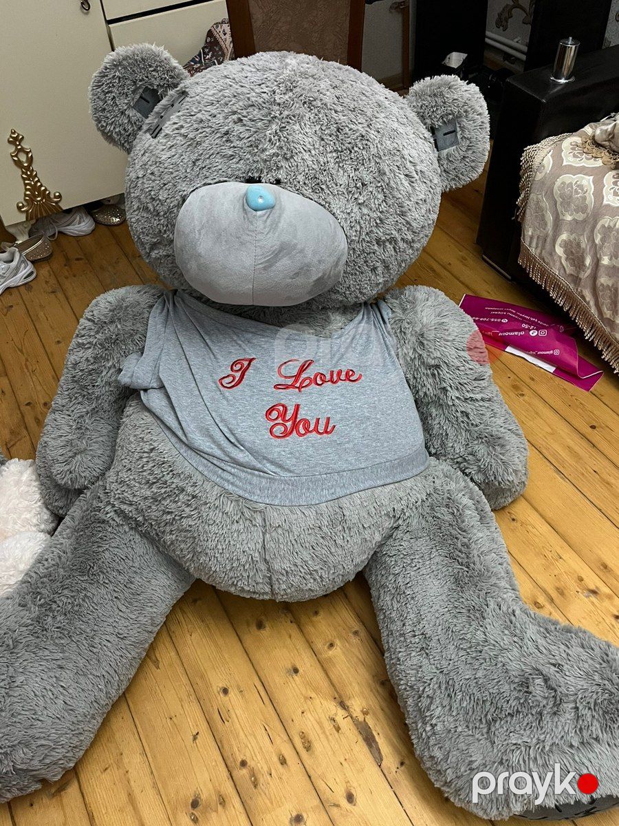 Yumşaq Teddy oyuncaq — Oyuncaqlar, Gəncə (3)