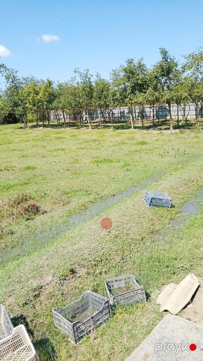 Həyət evi, Ağdaş r — Ev, villa, Ağdaş (3)