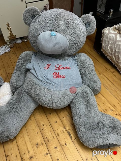 Yumşaq Teddy oyuncaq — Gəncə