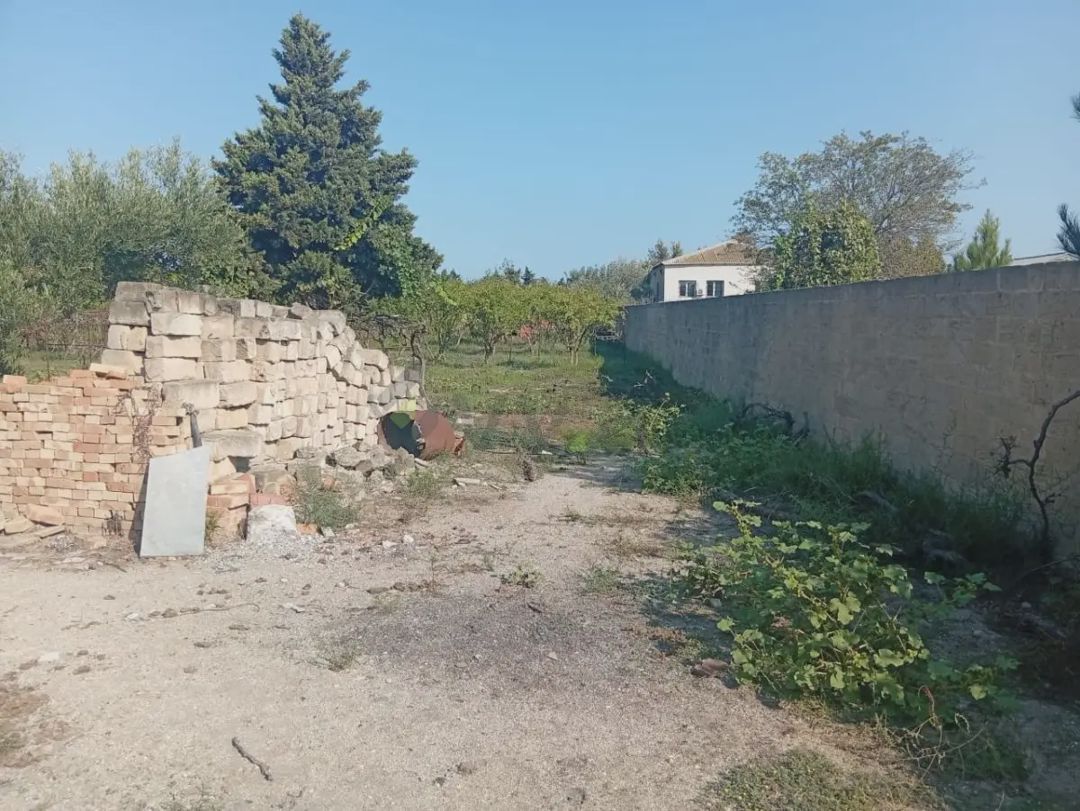 For sale: land, 21 sot — Torpaq, Bakı (12)