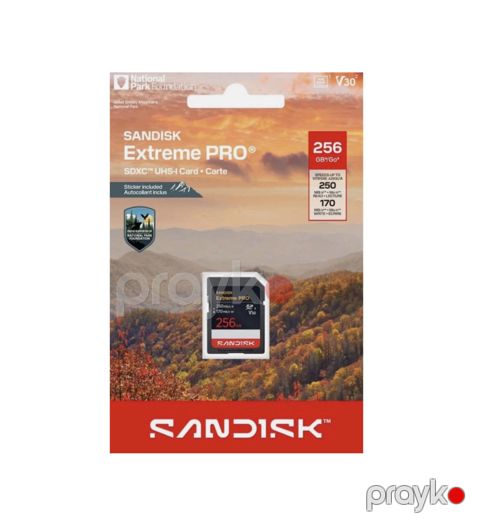 Sandisk Extreme Pro 256GB SD Card 250mb/170mb — Bakı