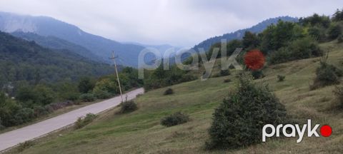 142 sot torpaq sahəsi, Quba r — Quba