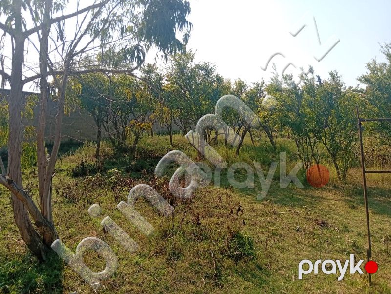 21 sot Torpaq, Satış, Bakı, Sabunçu — Torpaq, Bakı (2)