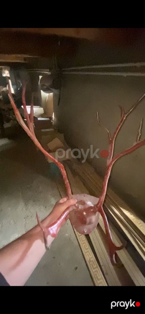Qırmızı dekorativ “maral buynuzu” instalyasiyası - Material: yüngül — Mehdiabad