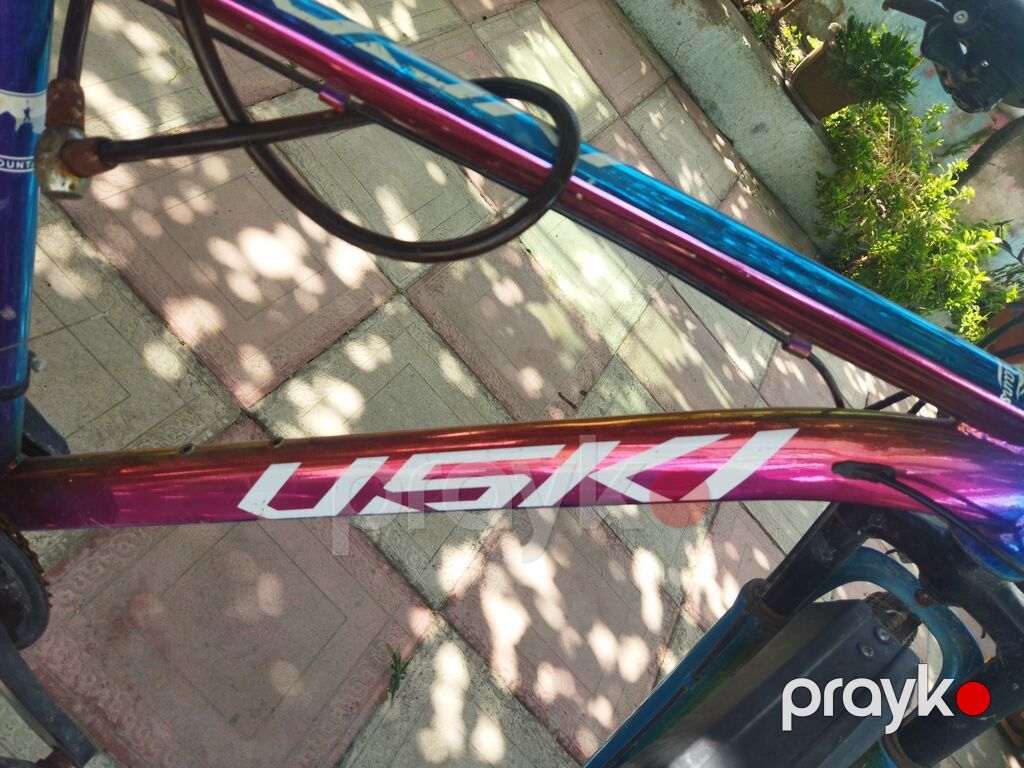 Uskı dağ velosipedi 29 velo / enidrim yoxdur yazmiyin bosuna 100 m — Dağ velosipedləri, Bakı (7)