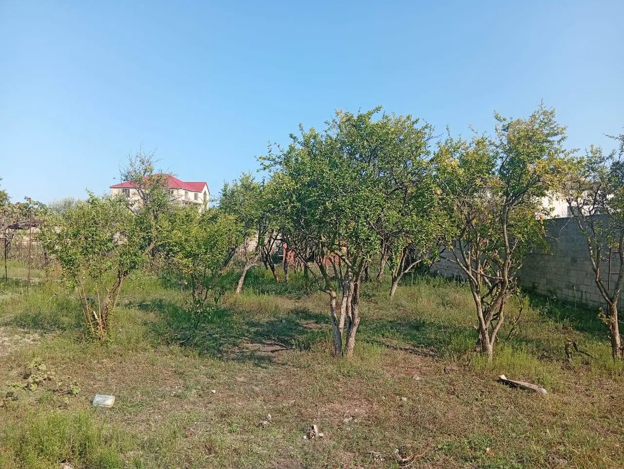 21 sot torpaq sahəsi satılır — Torpaq, Bakı (6)