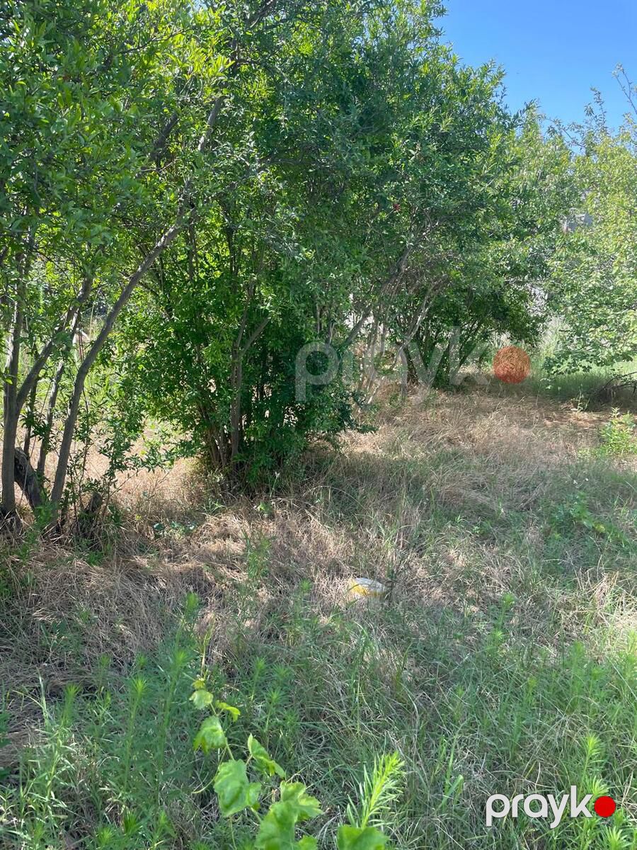 Satılır torpaq 12 sot — Torpaq, Bakı (8)